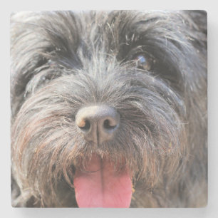 schwindlig steinuntersetzer