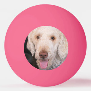 schwindlig tischtennisball