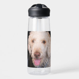 schwindlig trinkflasche