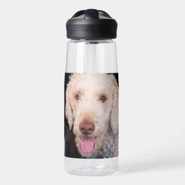 schwindlig trinkflasche (Vorne)