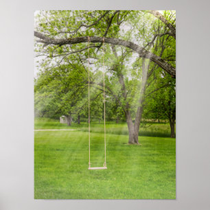 Schwingen im Sonnenlicht Poster