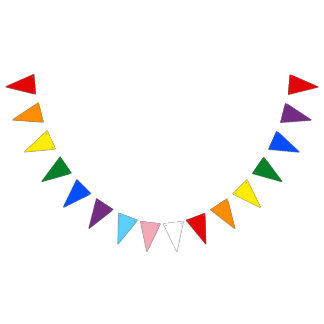 Schwul-Trans-Stolz-Wimpelgirlande-Banner Wimpelkette