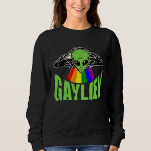Schwuler Gay Bär Stolz Für Männer Frauen Süße Lgbt Sweatshirt