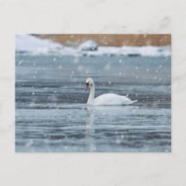Schwung bei den schneebedeckten Winterbedingungen  Postkarte