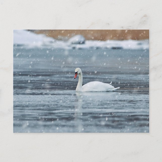 Schwung bei den schneebedeckten Winterbedingungen  Postkarte (Vorderseite)