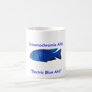 Sciaenochromis Ahli, Kaffeetasse