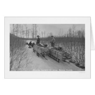 Sciage de chien de bois, Alaska 1917