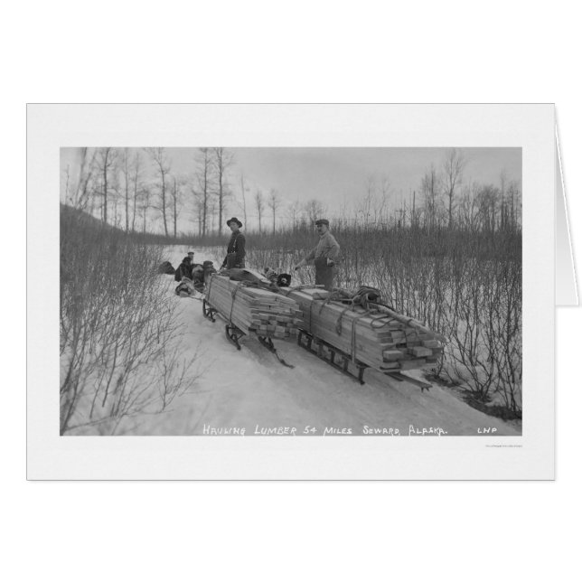 Sciage de chien de bois, Alaska 1917 (Devant horizontal)