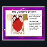 Science,Digestive system Poster<br><div class="desc">Intended for use in schools,  youth clubs,  etc and for personal research into particular topics. They were designed as lesson starters to provide points of discussion. Ideal for classroom displays as well as walls at home. Great aid for home schooling. Science, Digestive system</div>