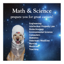 Science Math Niedlich Space Labrador Stars