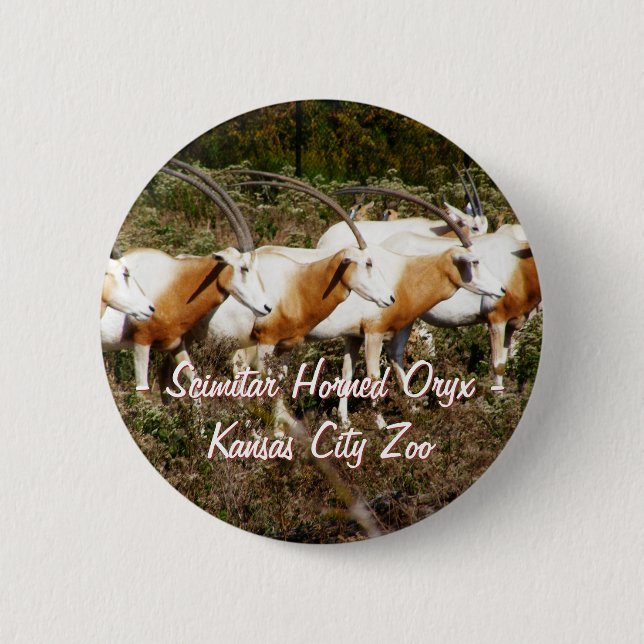 Scimitar Horned Oryx Button (Vorderseite)