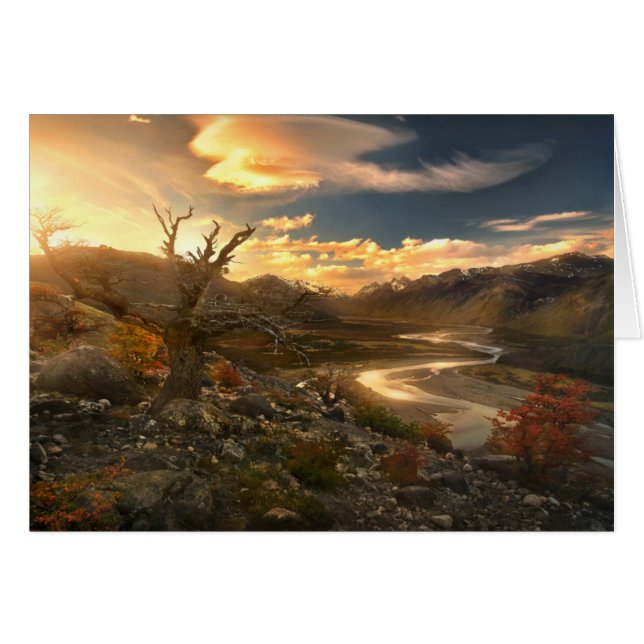 Scion du sauvage (Devant horizontal)