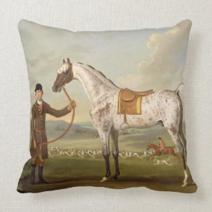 Scipio, Oberst Roches Spotted Hunter, c.1750 (oi Kissen