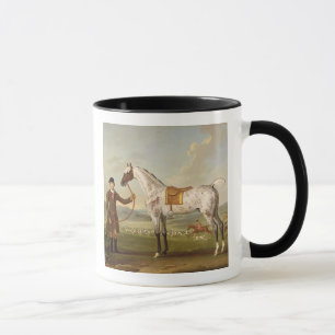 Scipio, Oberst Roches Spotted Hunter, c.1750 (oi Tasse
