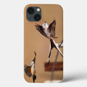Scissor-Angebundene Flycatchers (Tyrannus Case-Mate iPhone Hülle