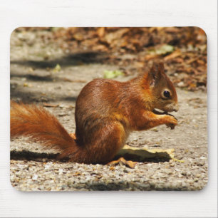 Sciurus vulgaris mousepad