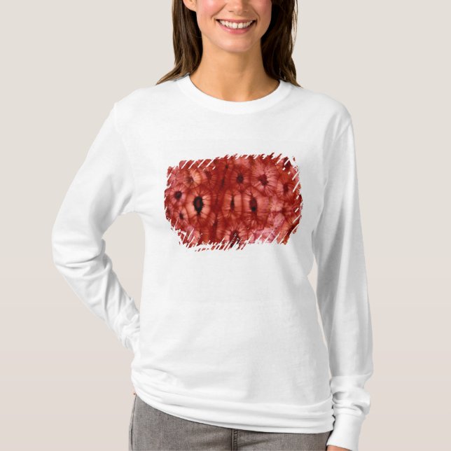 Sclerenchyma Zellen von einer Kirschgrube T-Shirt (Vorderseite)