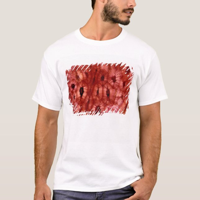 Sclerenchyma Zellen von einer Kirschgrube T-Shirt (Vorderseite)