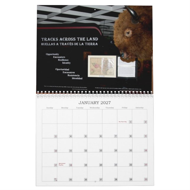 SCM - BÜFFEL-ABDECKUNG - KALENDER (Jan 2027)