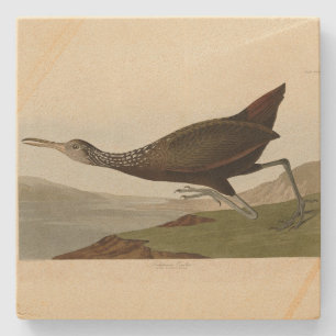 Scolopaceus Courlan - Audubons Vögel in Amerika Steinuntersetzer