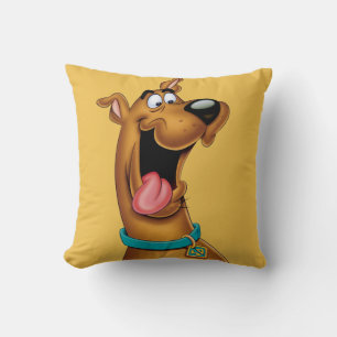 Scooby-Doo begeistert Kissen