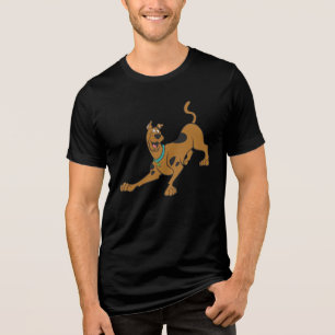Scooby-Doo bereit zum Spielen Tri-Blend Shirt