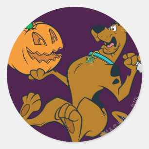 Scooby-Doo, das Kürbis schnitzt Runder Aufkleber
