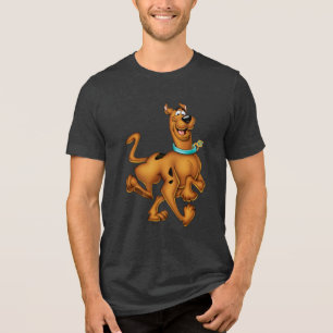 Scooby-Doo glücklicher Weg Tri-Blend Shirt