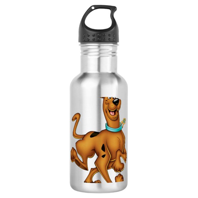 Scooby-Doo Happy Walk Edelstahlflasche (Vorderseite)