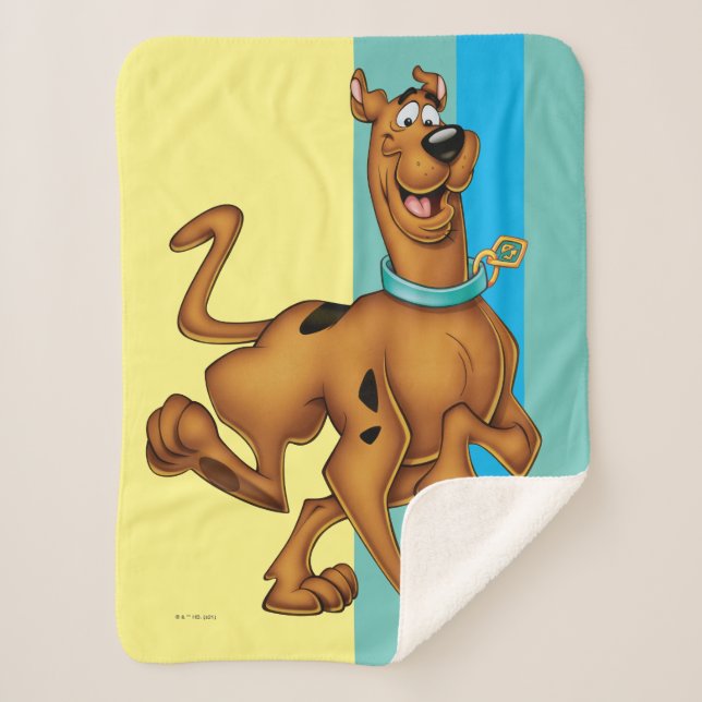 Scooby-Doo Happy Walk Sherpadecke (Vorderseite)