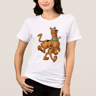 Scooby-Doo Happy Walk Tri-Blend Shirt