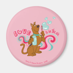 Scooby-Doo - Liebe ist in der Luft Magnet