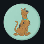 Scooby-Doo Niedlicher als Niedlich Magnet<br><div class="desc">Scooby Doo Character Art</div>
