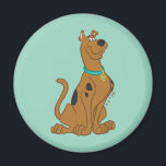 Scooby-Doo Niedlicher als Niedlich Magnet<br><div class="desc">Scooby Doo Character Art</div>