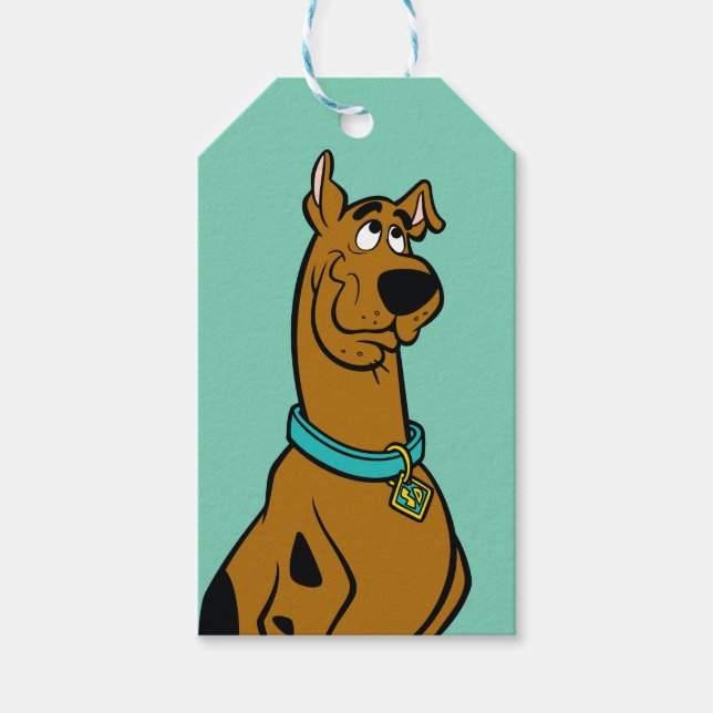 Scooby-Doo Puppy Eyes Geschenkanhänger (Vorderseite)