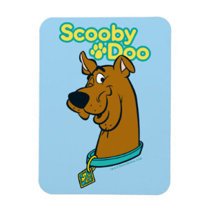Scooby-Doo Winking Magnet