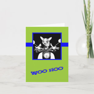 Scooter Chihuahua Karte