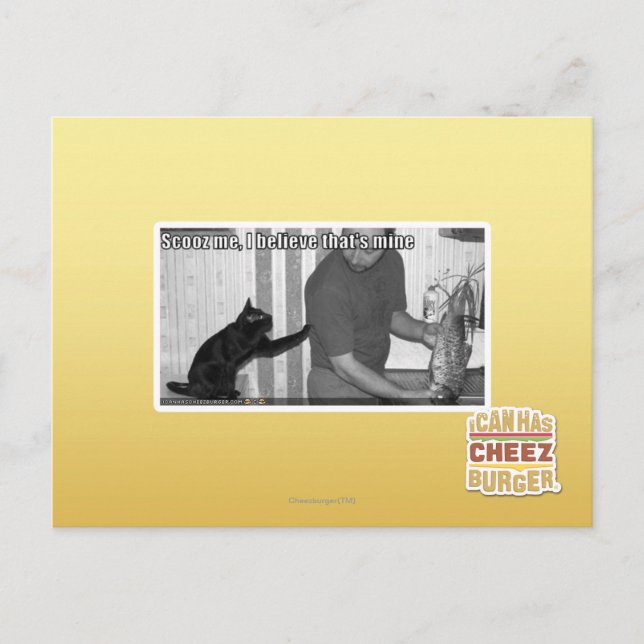 Scooz, ich glaube, das gehört mir postkarte (Vorderseite)