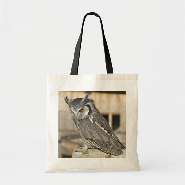 Scops Eulen-Tasche Tragetasche (Vorne)