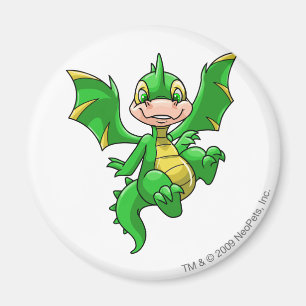 Scorchio Green Magnet