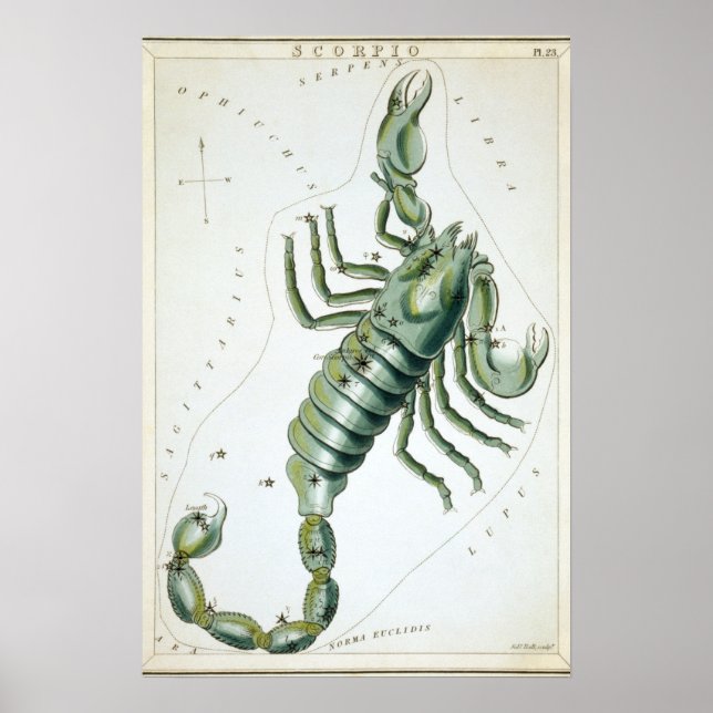 Scorpio Astrological Drawing Poster (Vorne)