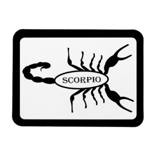 Scorpio Black Scorpion Star Sign Magnet