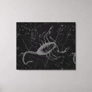 Scorpio Constellation Hevelius 1690 auf Schwarz Leinwanddruck