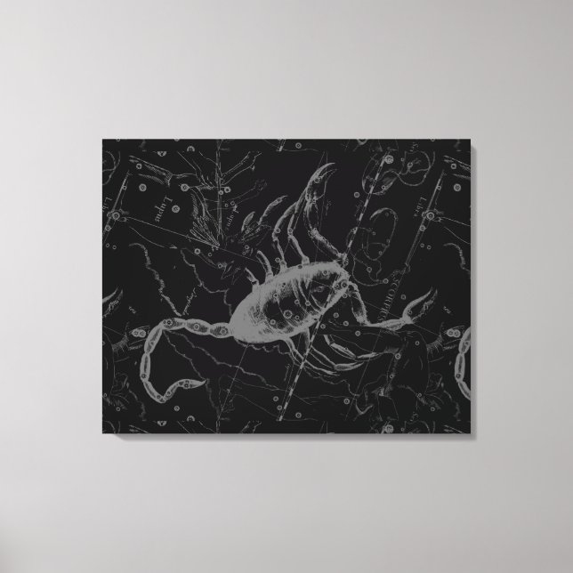 Scorpio Constellation Hevelius 1690 auf Schwarz Leinwanddruck (Vorderseite)