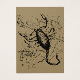 Scorpio Constellation Hevelius 1690 Décor