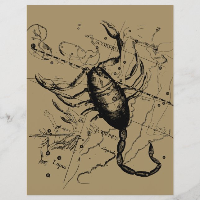 Scorpio Constellation Hevelius 1690 Dekor Flyer (Vorne)