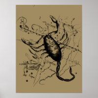 Scorpio Constellation Hevelius circa 1690 Vintag