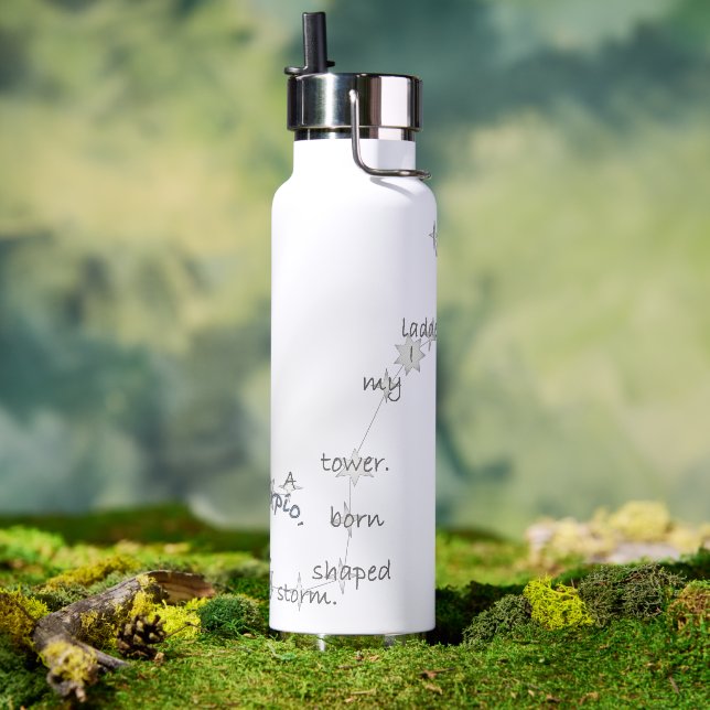 Scorpio Fun & Inspiring Daily Use & Sports & Gift Trinkflasche (Außenbereich)