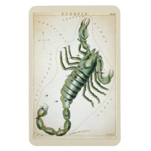 Scorpio-Konstellation Magnet