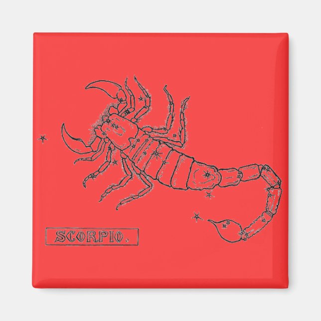 Scorpio Magnet (Vorne)